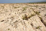 Siedlungsfeindliche Bodenbeschaffenheit des mioznen Kalks auf der Lara-Halbinsel mit scharkantigen Karrenverwitterungen.