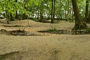 Diese Krater im „Sanctuary Wood Hill 62“ sind über 70 Jahre erhalten geblieben. Nach Niederschlägen zeigen sie sich wassergefüllt wie auf den Schlachtfeldern und noch immer von kleinen Sprengwällen umgeben. Lediglich die Bäume sind seitdem auf dem Gelände nachgewachsen.