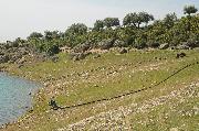 Über die blanken Ufer des Berdan-Stausees ziehen sich die Bewässerungsrohre des angrenzenden Gemüseanbaus.